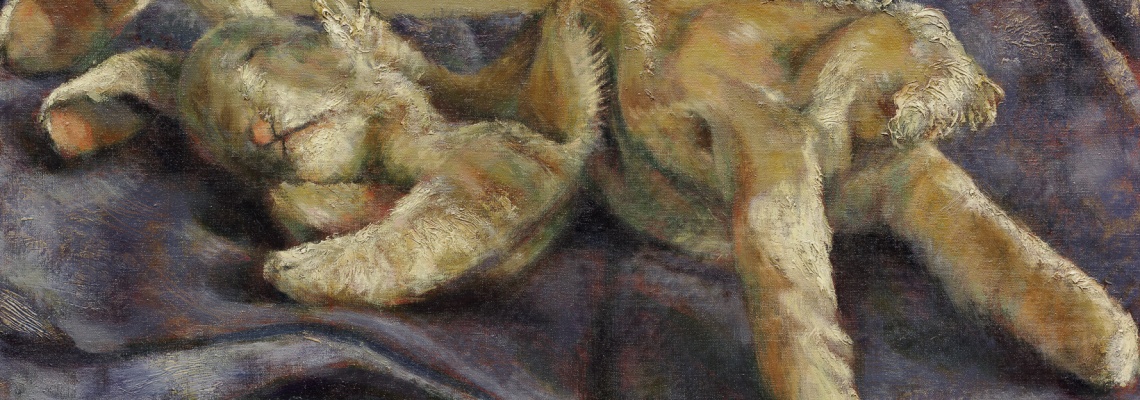 hare sleeping