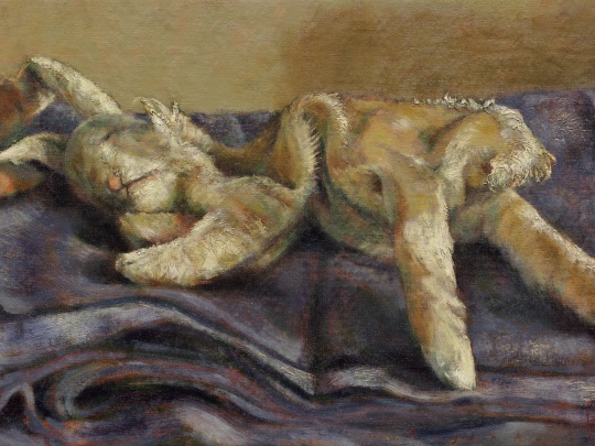 hare sleeping