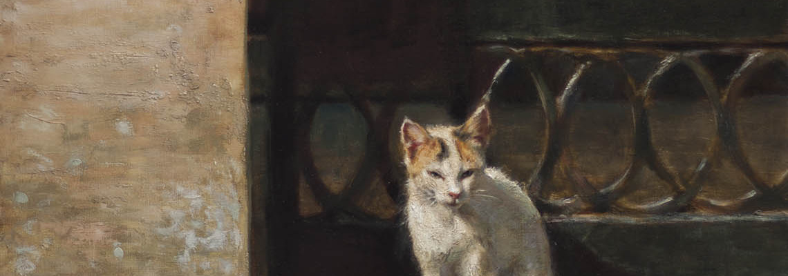 Sicilian cat Erice