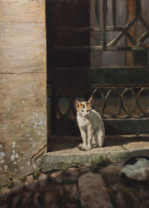 Sicilian cat Erice