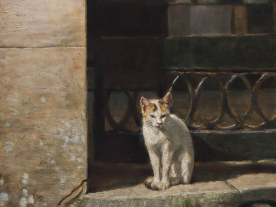 Sicilian cat Erice