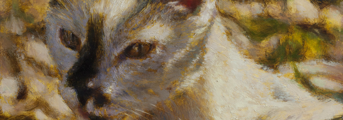 Cat portrait commission
