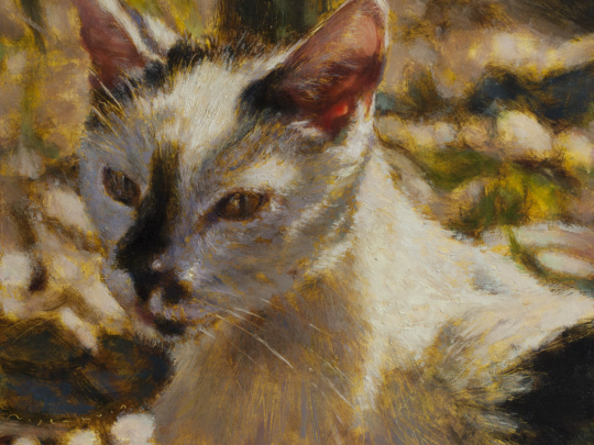 Cat portrait commission