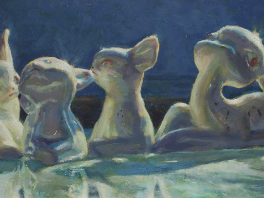 stillife in blues